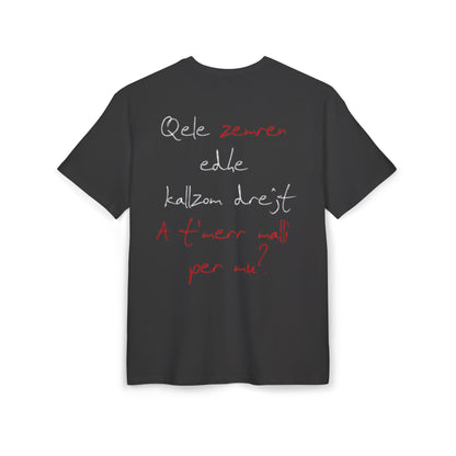 Qele Zemren Unisex Heavy Oversize T-Shirt