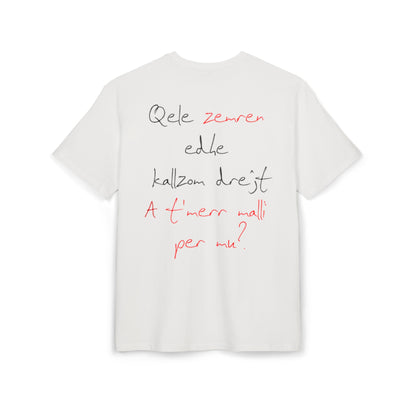 Qele Zemren Unisex Heavy Oversize T-Shirt