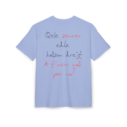 Qele Zemren Unisex Heavy Oversize T-Shirt