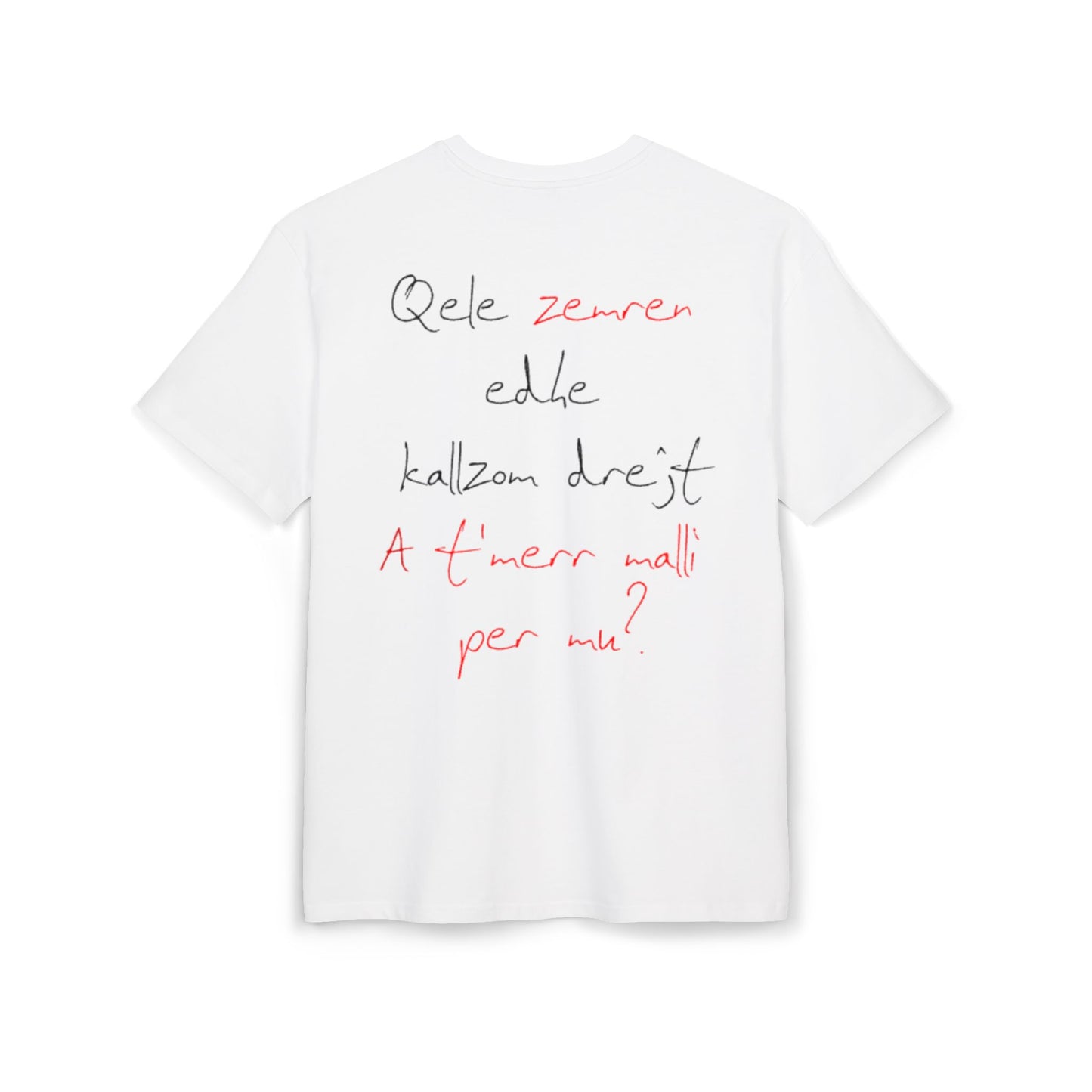 Qele Zemren Unisex Heavy Oversize T-Shirt