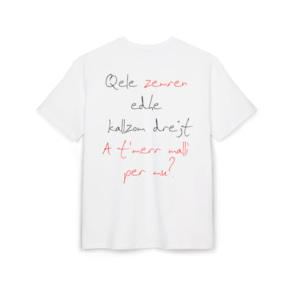 Qele Zemren Unisex Heavy Oversize T-Shirt