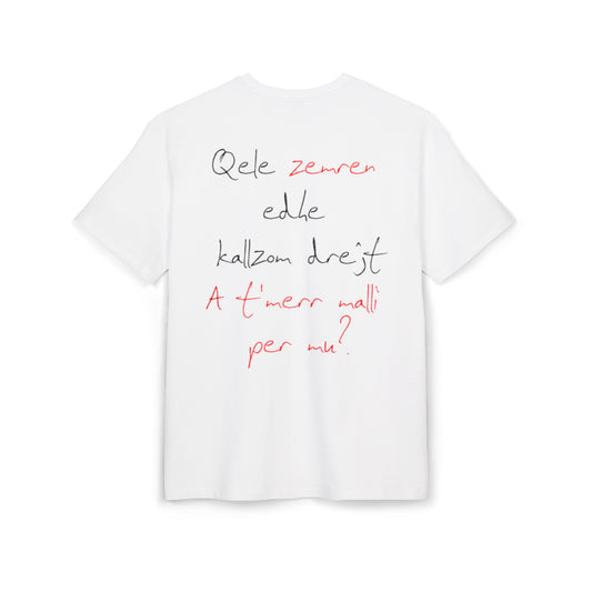 Qele Zemren Unisex Heavy Oversize T-Shirt