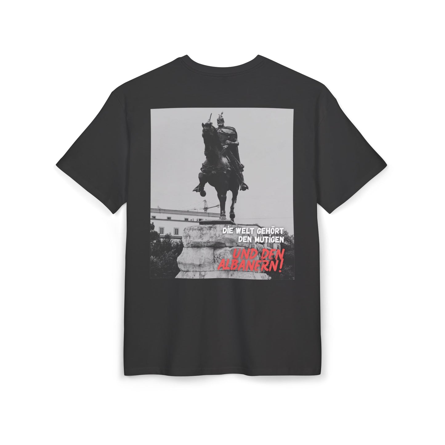 Skenderbeu Unisex Heavy Oversize T-Shirt